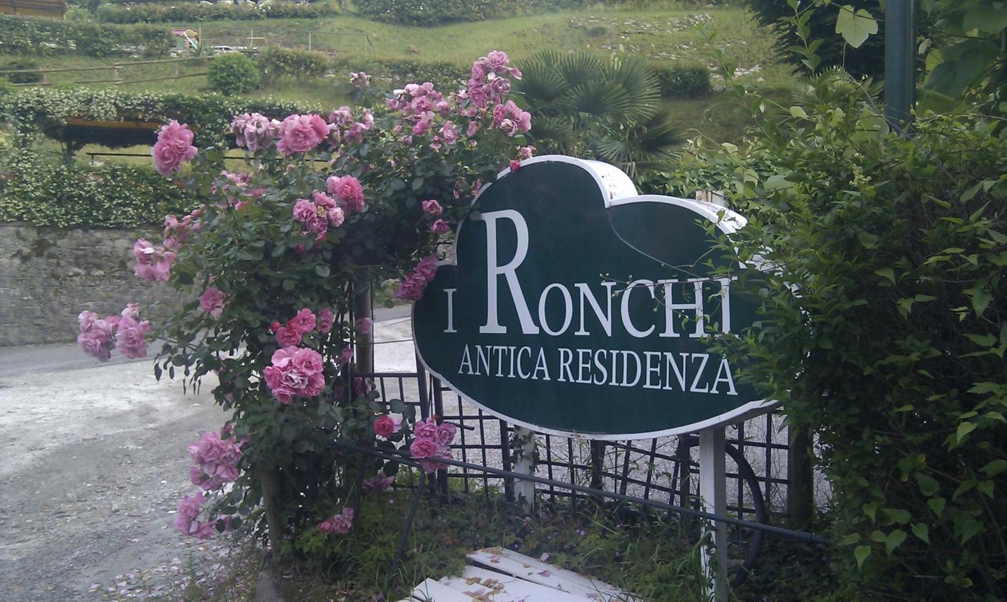 Antica Residenza I Ronchi Di Bellagio Aparthotel Kültér fotó